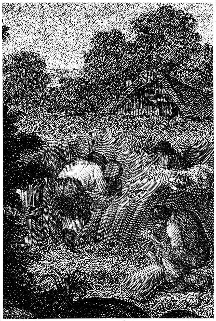 Høst med segl og binding af skærene, England, c1800 af Unbekannt