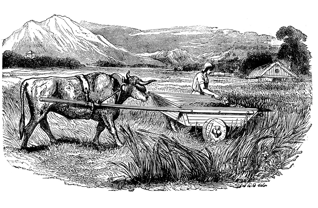 Rekonstruktion af romersk høstvogn, som beskrevet af Plinius, gravering, 1860 af Unbekannt
