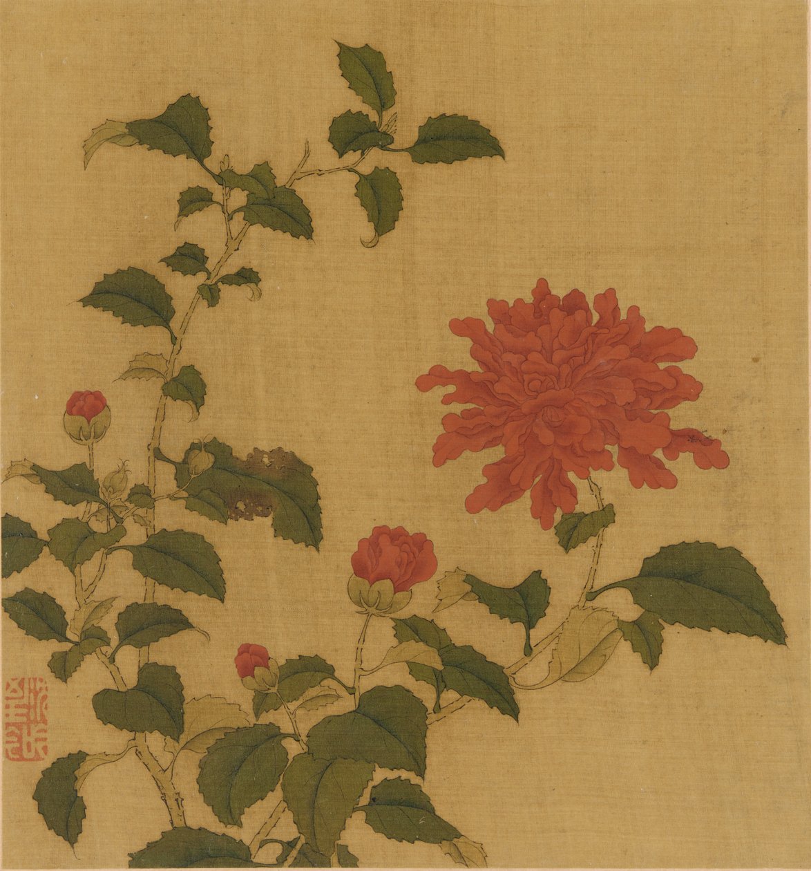 Rød pæon, Qing-dynastiet, 1700-tallet. af Unbekannt