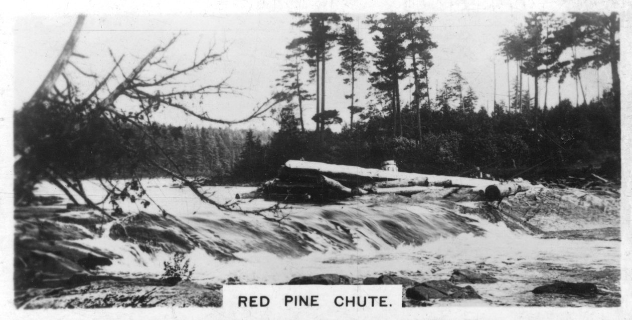 Red Pine Chute, Canada, c1920