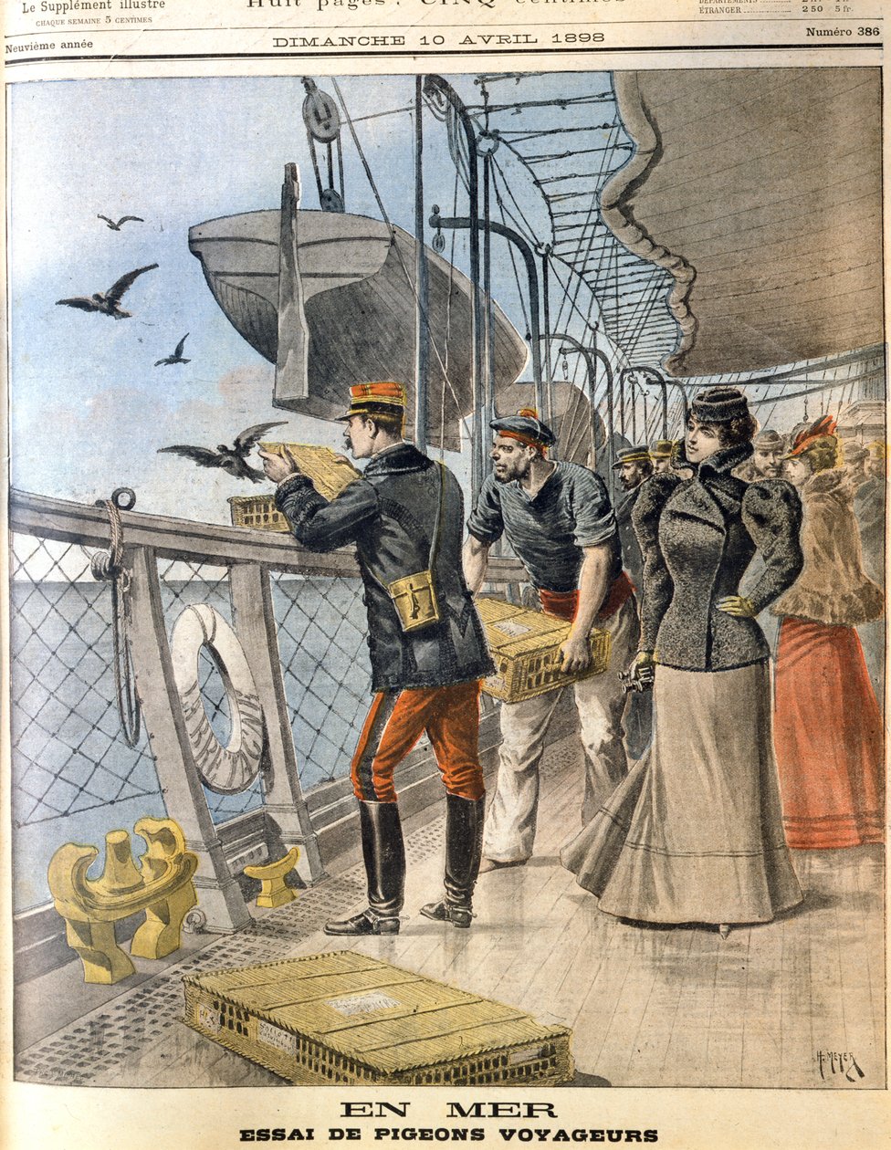 Frigivelse af den franske hær, der slår duer om bord på det transatlantiske linjeskib La Bretagne, 1898 af Unbekannt