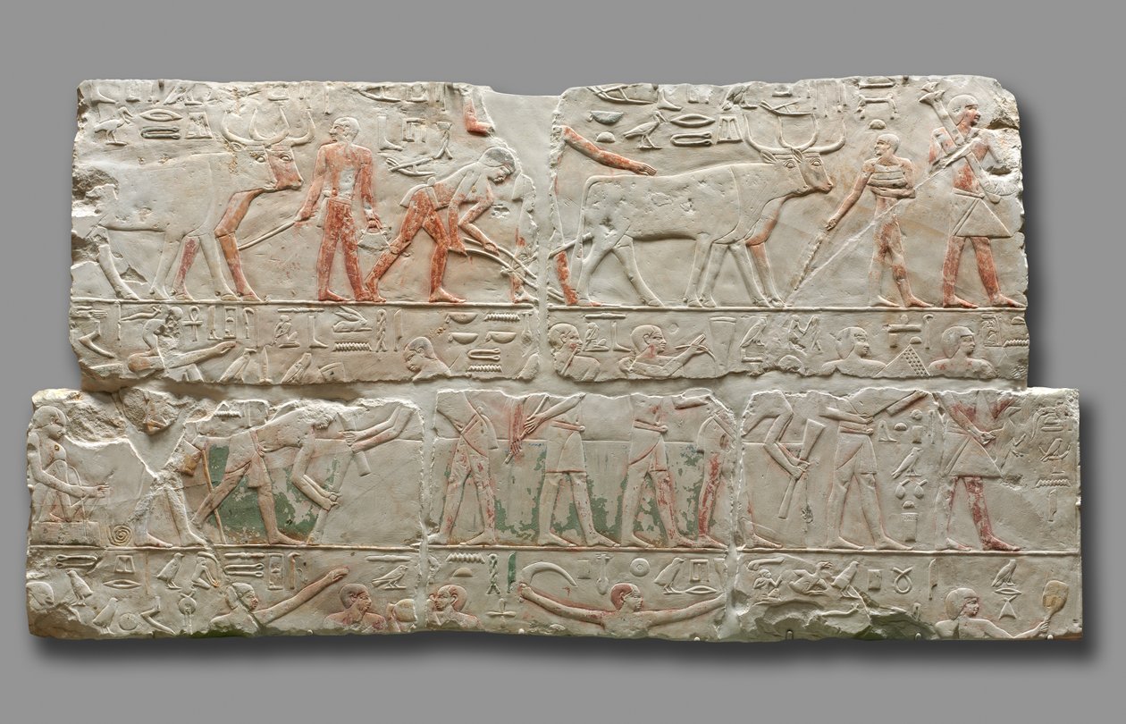 Relief af landbrugsscener, ca. 2311-2281. af Unbekannt