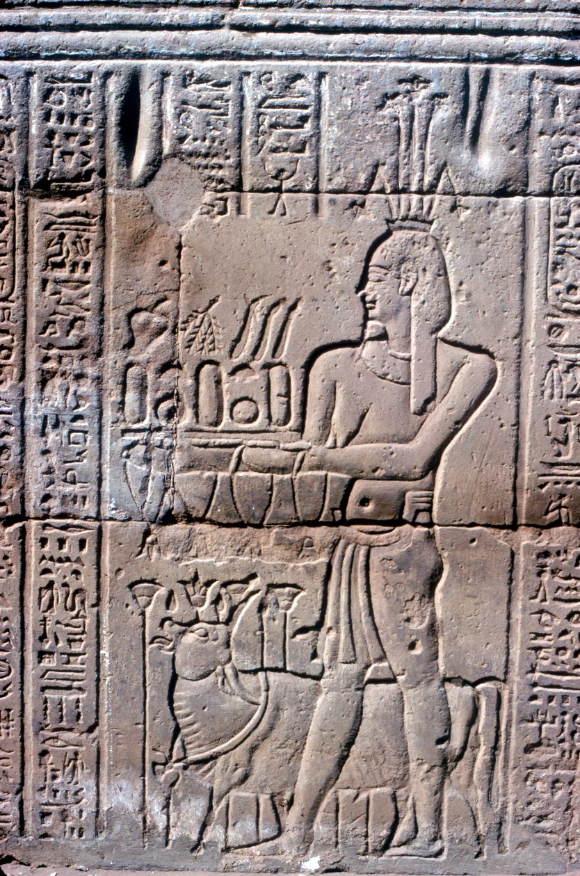 Relief af Hapi Hapy Nilens gud i oversvømmelse, Khnum-templet, ptolemæiske og romerske perioder af Unbekannt