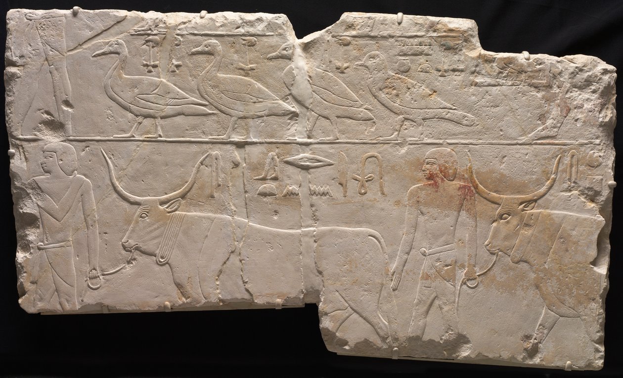 Relief af mænd, der bringer fugle og kvæg, ca. 2311-2281 f.Kr. af Unbekannt