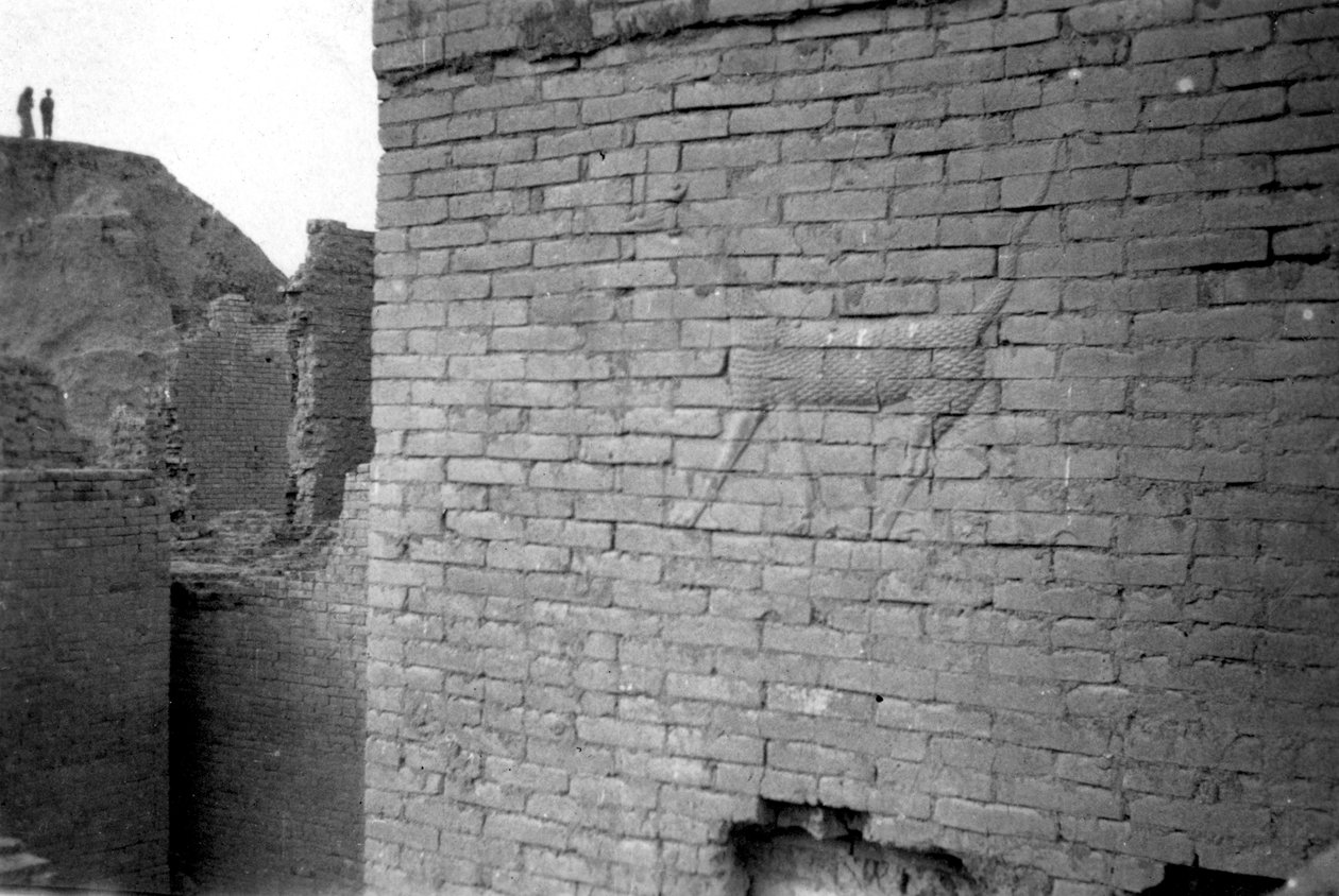 Relief på Ishtar-porten, Babylon, 1917-1919 af Unbekannt