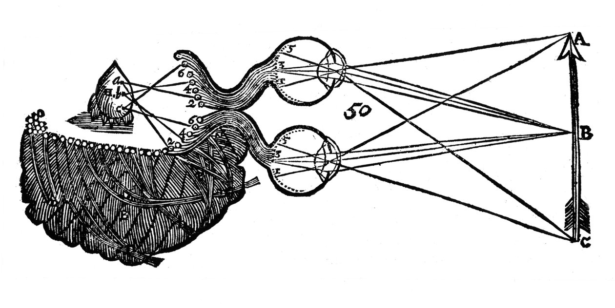 Rene Descartes idé om syn, der viser funktionen af øjet, synsnerven og hjernen, 1692 af Unbekannt