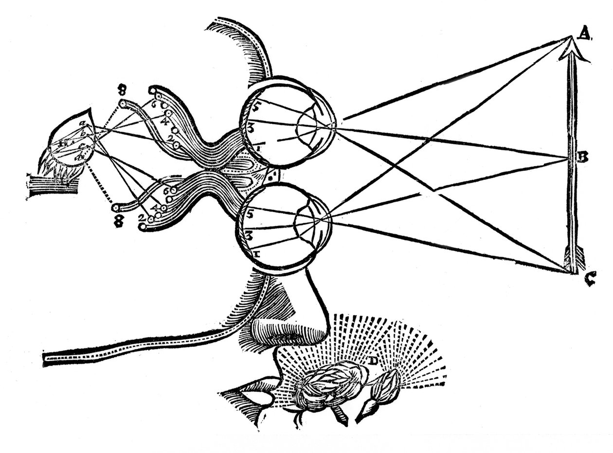 Rene Descartes illustration af sansernes koordination, 1692 af Unbekannt