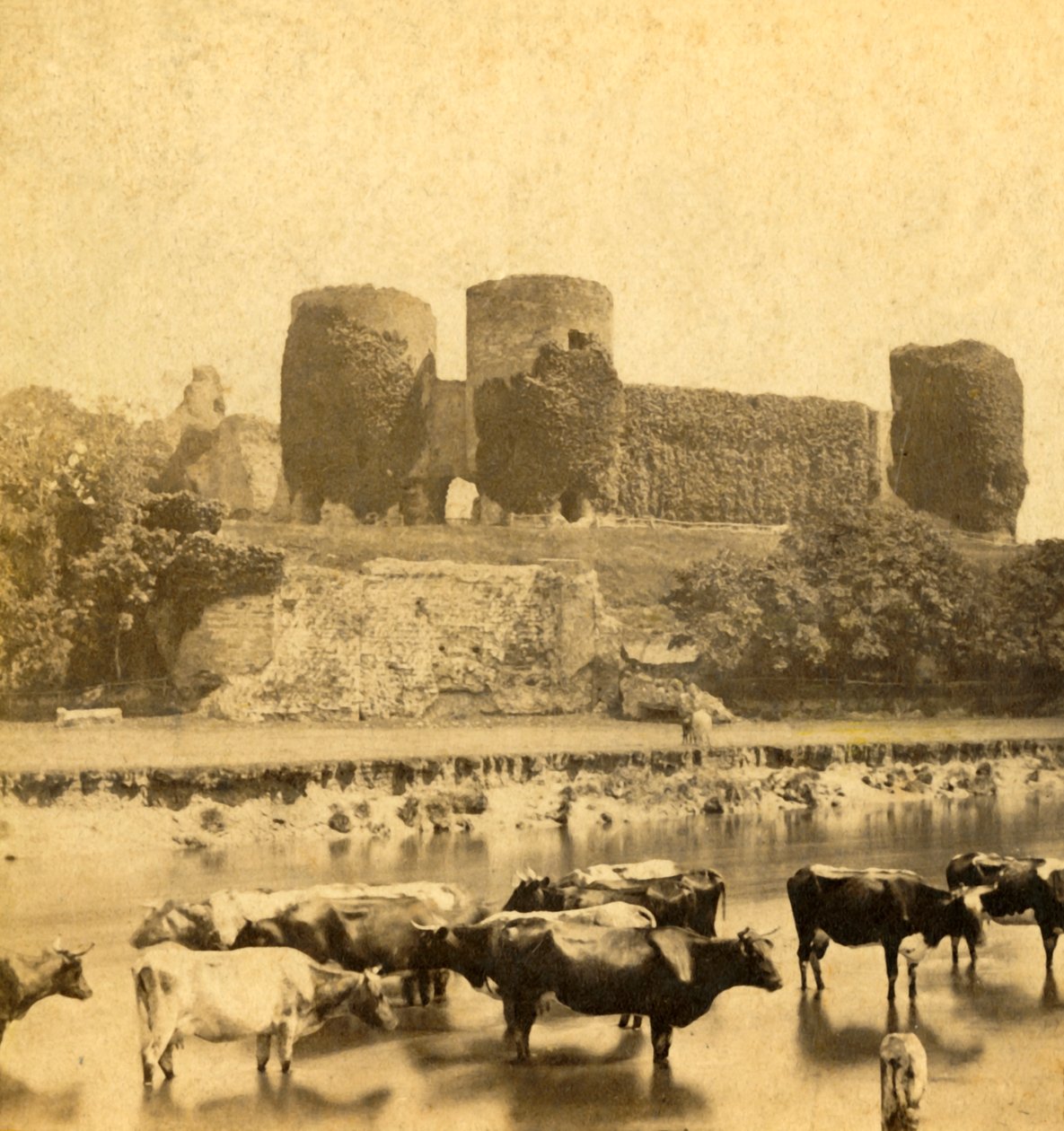 Rhuddlan - Slot fra floden, c1900. af Unbekannt