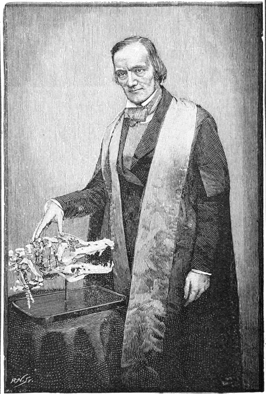 Richard Owen, britisk naturforsker, c1856 1891 af Unbekannt