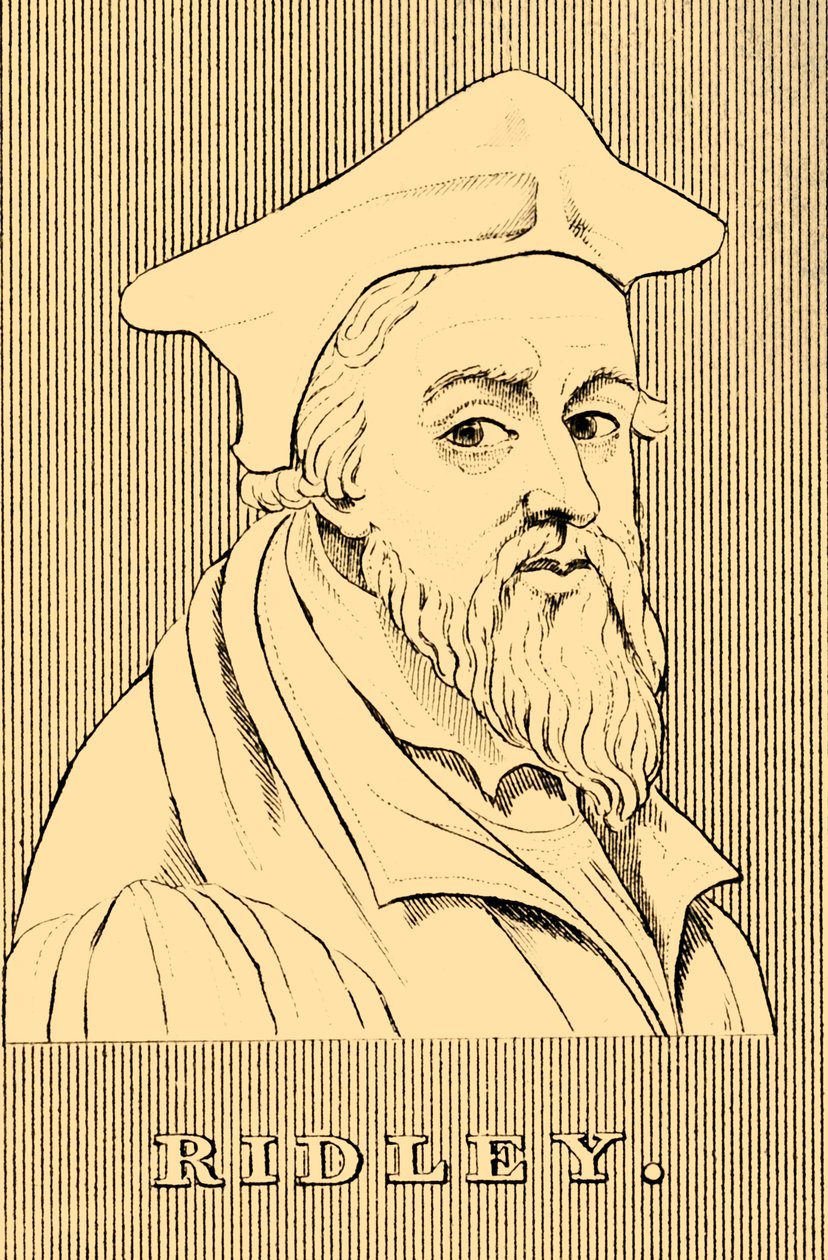 Ridley, c1500-1555, 1830. af Unbekannt