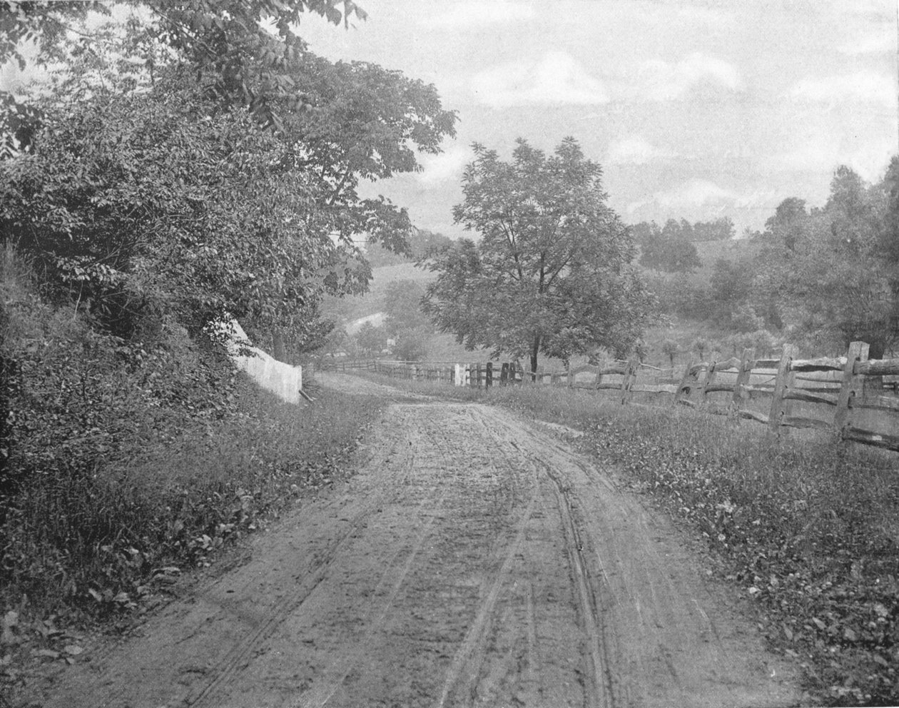 Road Alongside the Brandywine, Pennsylvania, USA, c1900. af Unbekannt