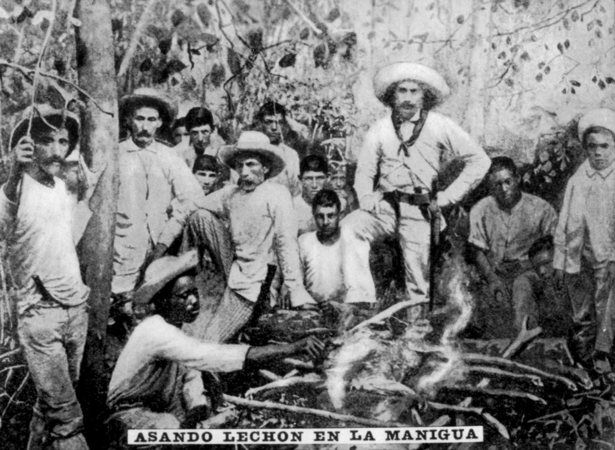 Stegegris i junglen, Cuba, c1910 af Unbekannt