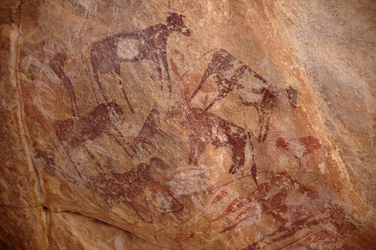 Klippekunst, forhistorie: Maleri af en gruppe kvæg og karakterer i et udsmykket husly i Uweinat-massivet, Sudan (Karkur-Talh eller Karkur Talh). Periode fra 8000 til 3000 år f.Kr. Fotografering af Unbekannt
