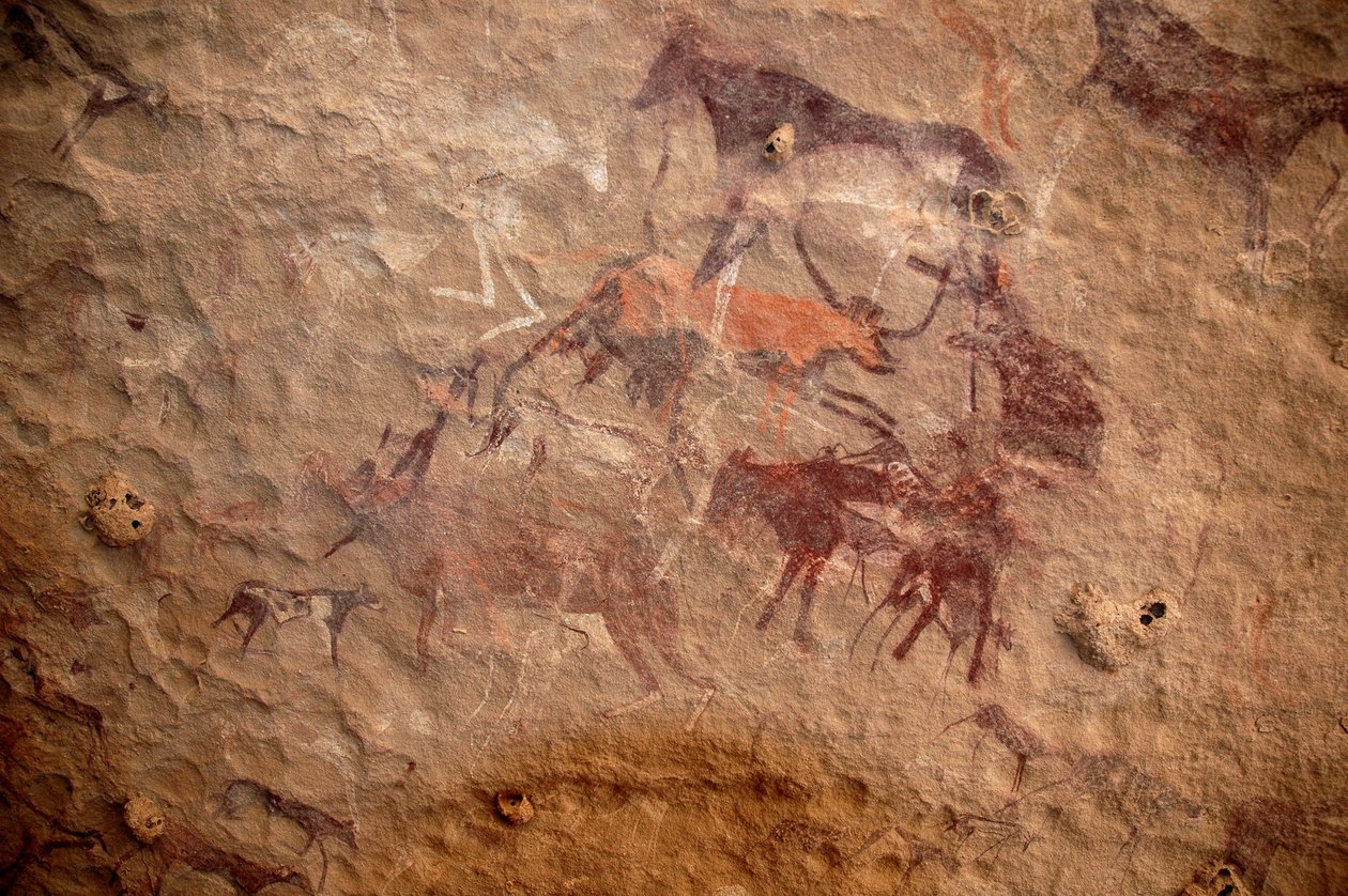 Klippekunst, forhistorie: Klippemaleri af en gruppe kvæg og polykrome karakterer (hyrder og bueskytter) i et udsmykket husly i Uweinat-massivet, Sudan. Periode fra 8000 til 3000 år f.Kr. Fotografering af Unbekannt