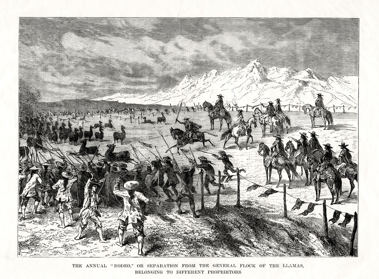 Rodeo, Sydamerika, 1877 af Unbekannt