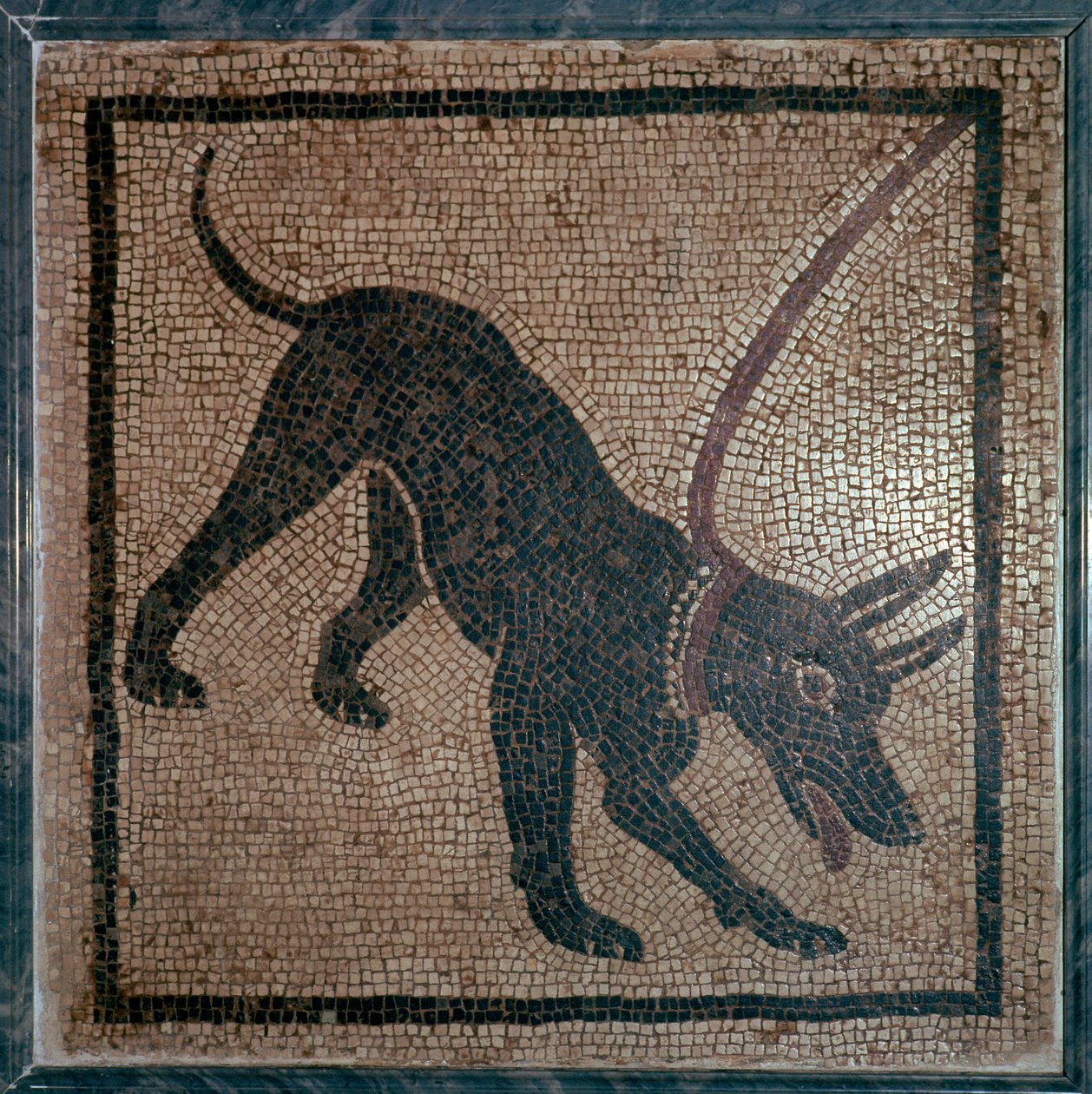 Romersk mosaik af en hund, 1. århundrede af Unbekannt