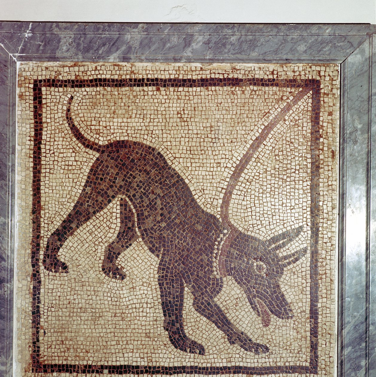 Romersk mosaik af hund, Cave Canem, Pompeji, Italien af Unbekannt