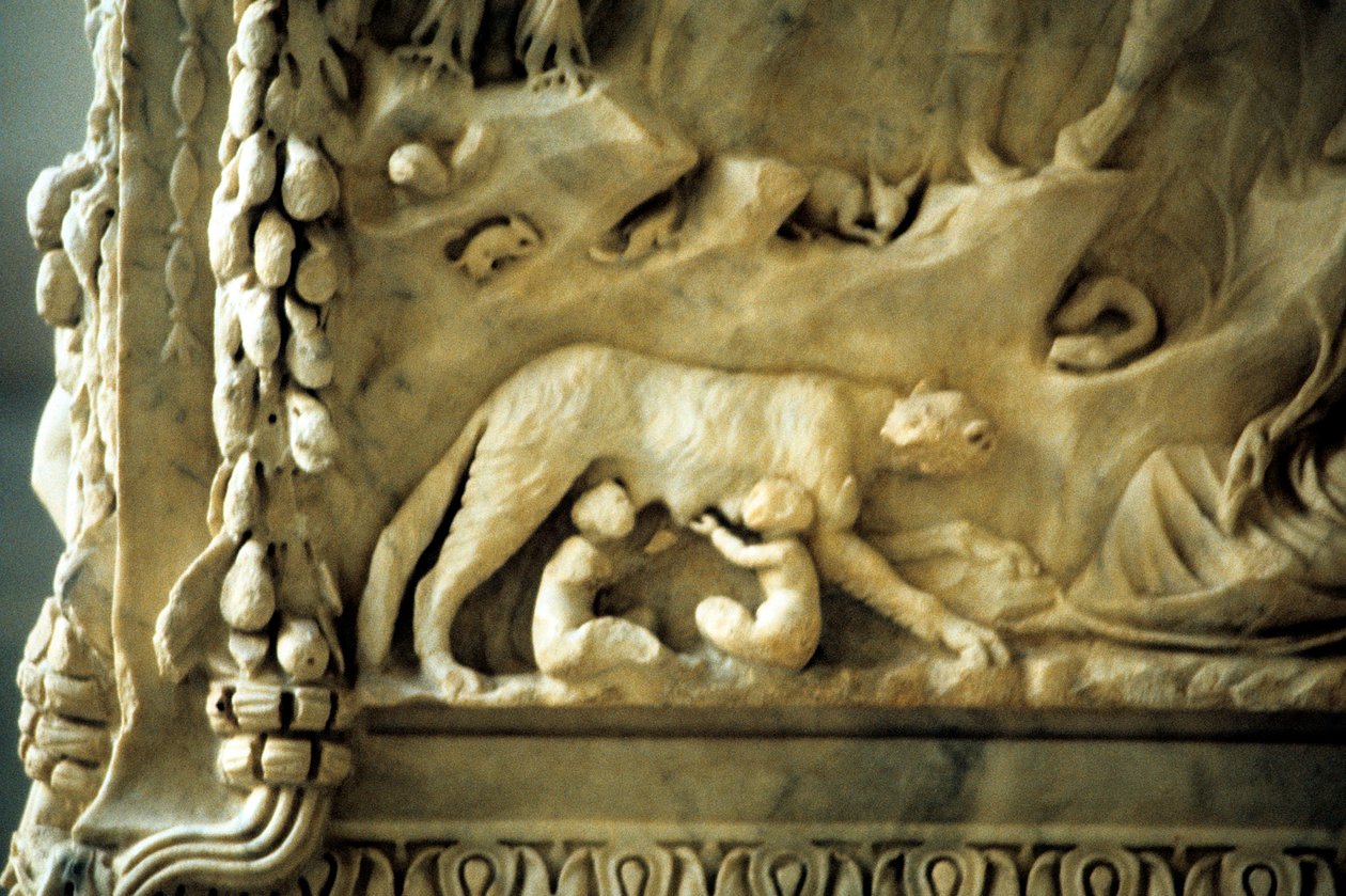Romulus og Remus dier fra ulven af Unbekannt