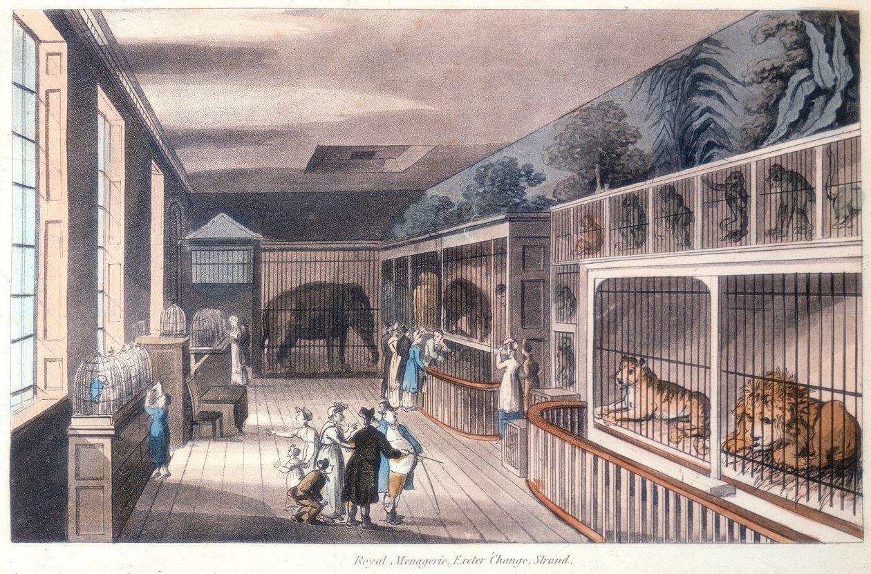 Royal Menagerie, Exeter Change, Strand, London, c1820 af Unbekannt