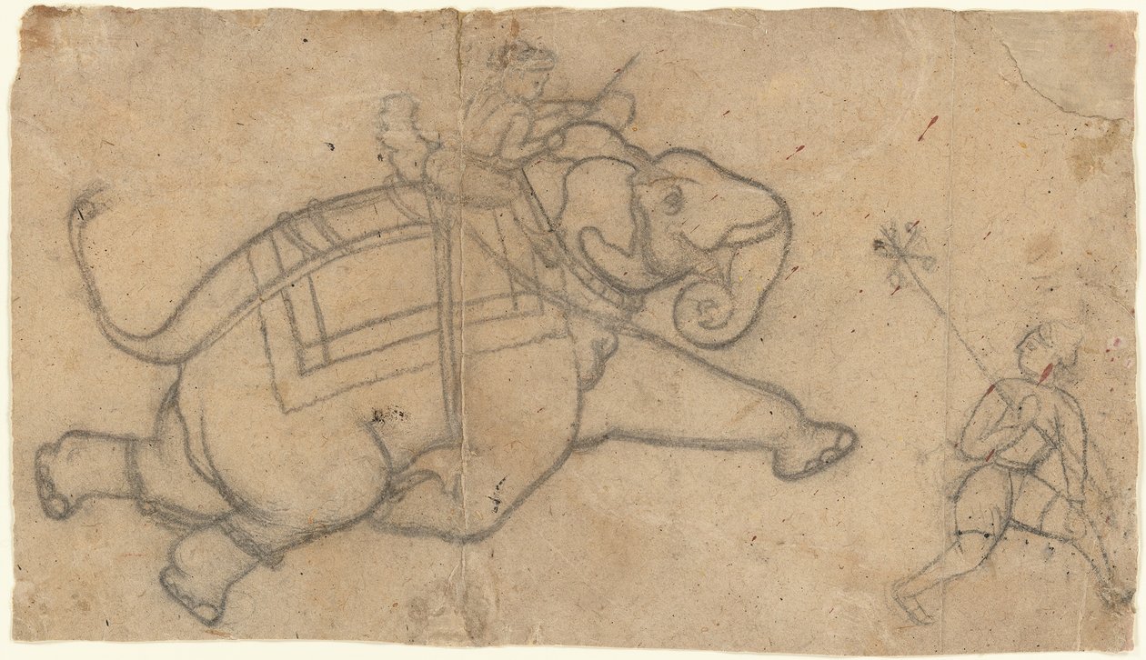 Running Elephant recto, Practice Sheet of Elephant Sketches verso, midten af 1700-tallet. af Unbekannt