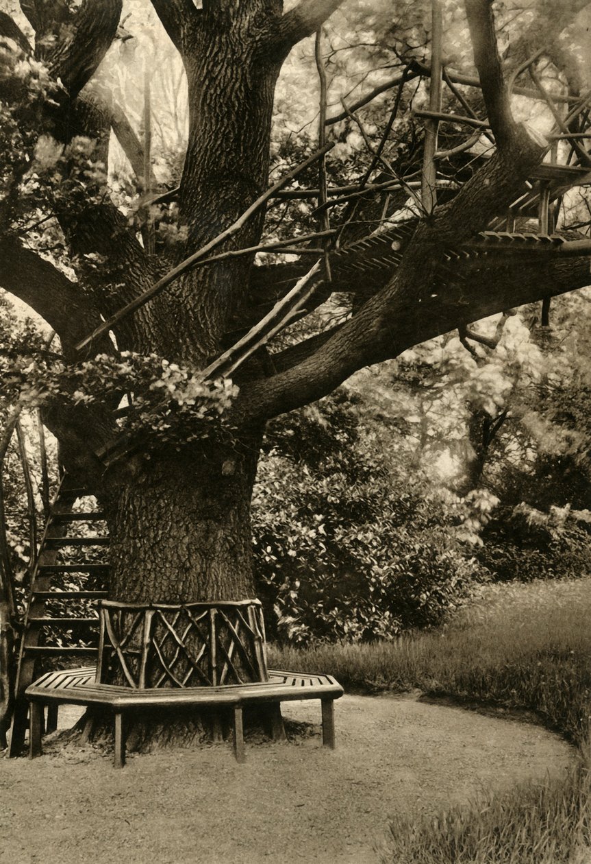 Rustik behandling. - Sommerhus i et træ, et ideelt tehus, 1920. af Unbekannt