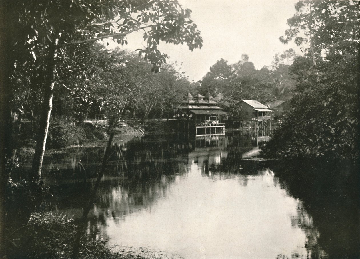 Sacred Horse Shoe Lake og Zayats, Wingaba, Rangoon, 1900. af Unbekannt