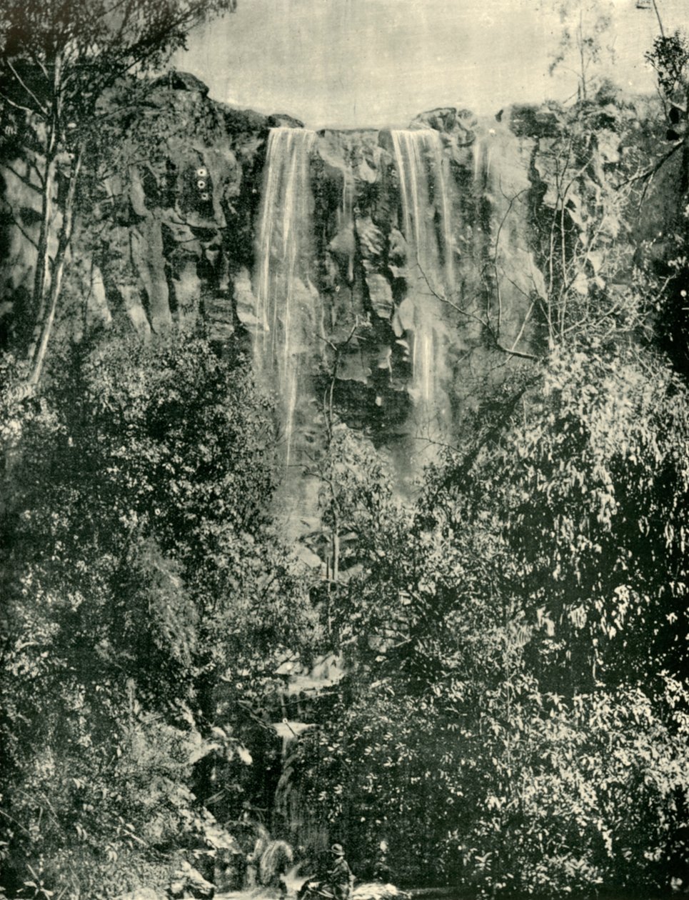 Sailors Creek Falls, Daylesford, 1901. af Unbekannt