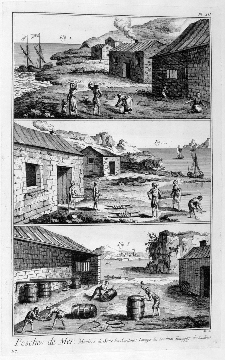 Saltning, vask, pakning af sardiner, 1751-1777 af Unbekannt