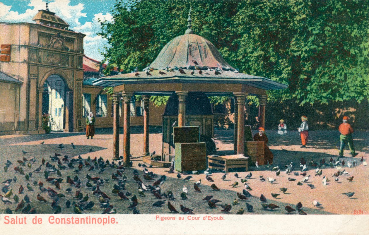 Salut de Constantinople - Duer ved hoffet i Eyoub, c1900 af Unbekannt