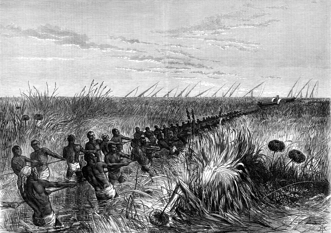 Samuel Bakers båd trukket gennem flodgræs, 1864 1874 af Unbekannt