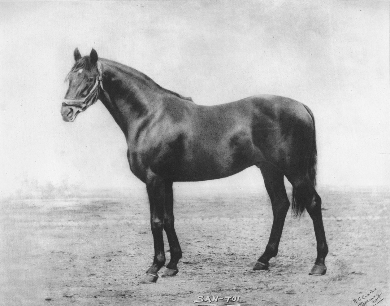 San-Toi, 1911 af Unbekannt