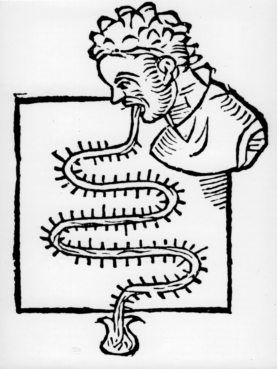 Sanctuary klinisk termometer, 1612 af Unbekannt