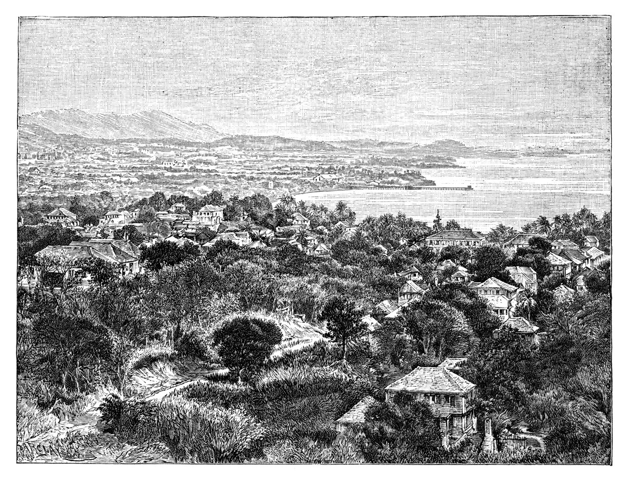 Santa Cruz Island, c1890 af Unbekannt