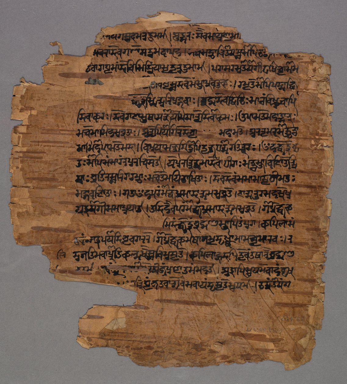 Sarada Script, 1600-tallet. af Unbekannt