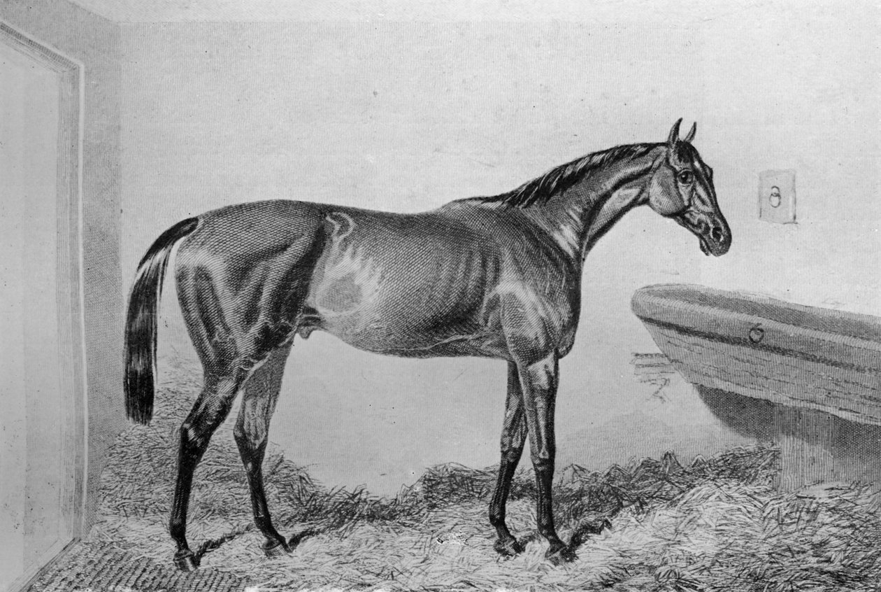Saucebox, c1840-1880, 1911 af Unbekannt