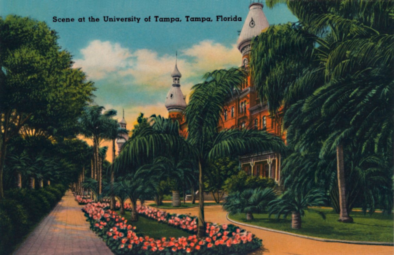 Scene ved University of Tampa, Tampa, Florida, c1940