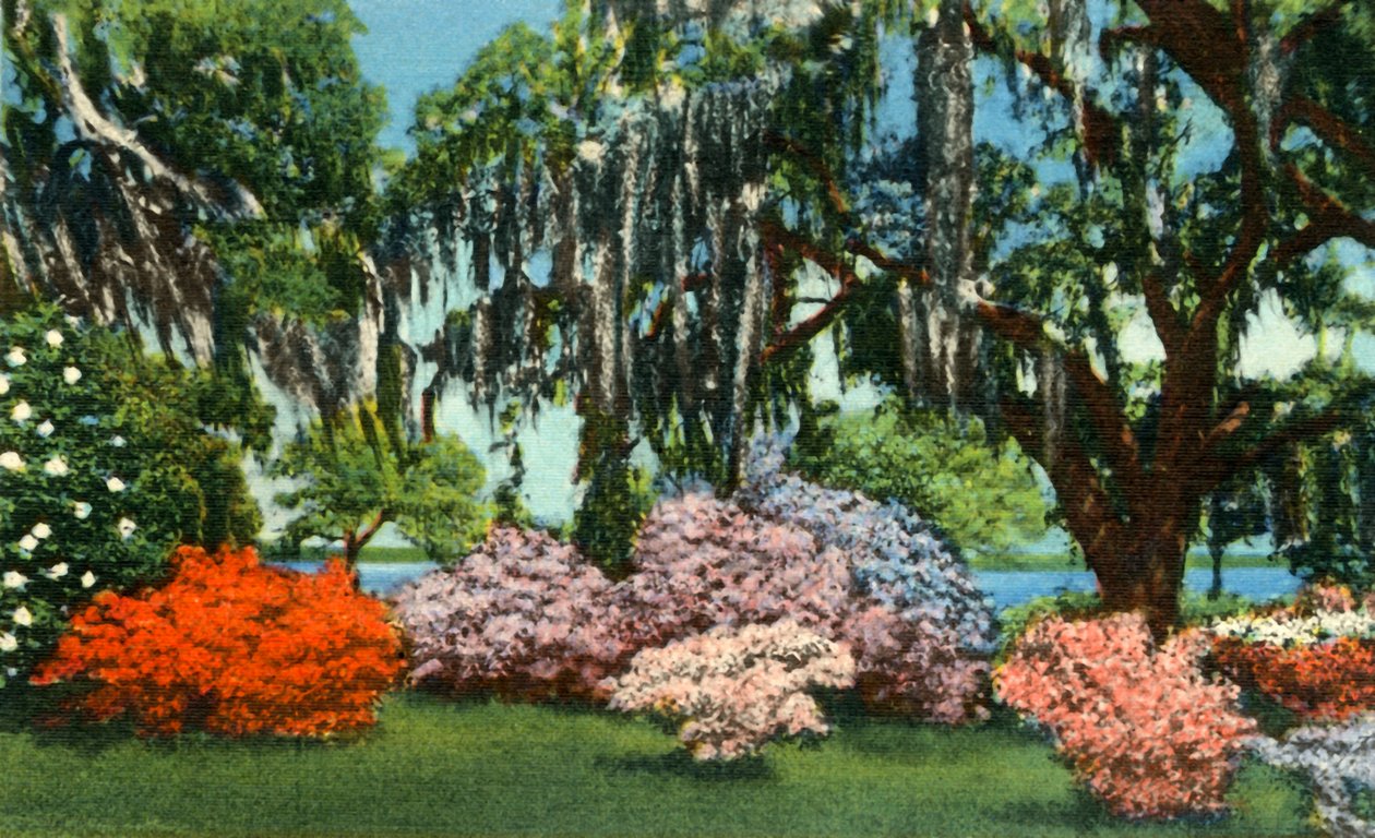 Scene i Belle Isle Gardens, nær Georgetown, S.C., 1942. af Unbekannt