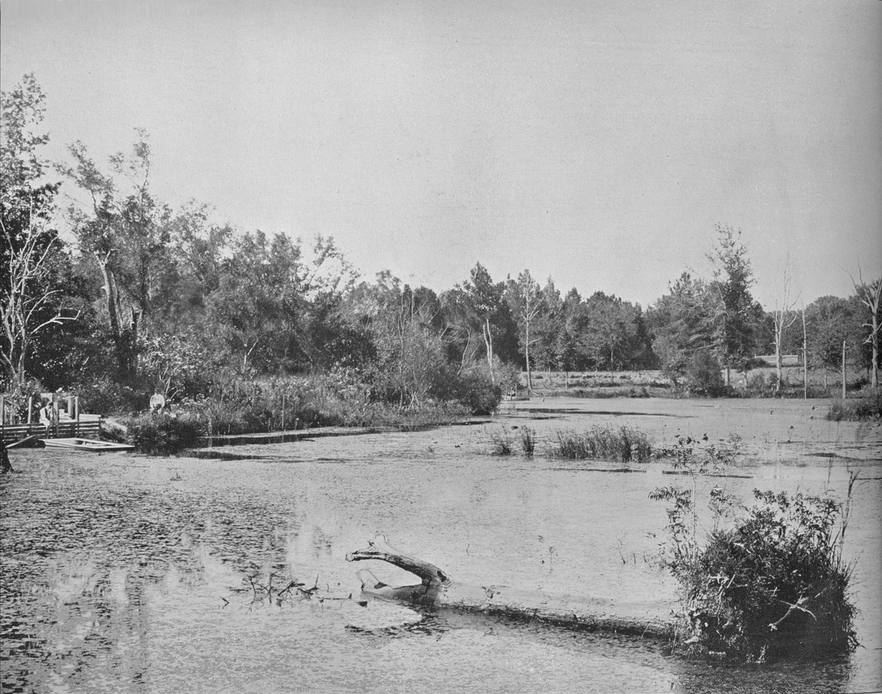 Scene i Mississippi, c1897. af Unbekannt