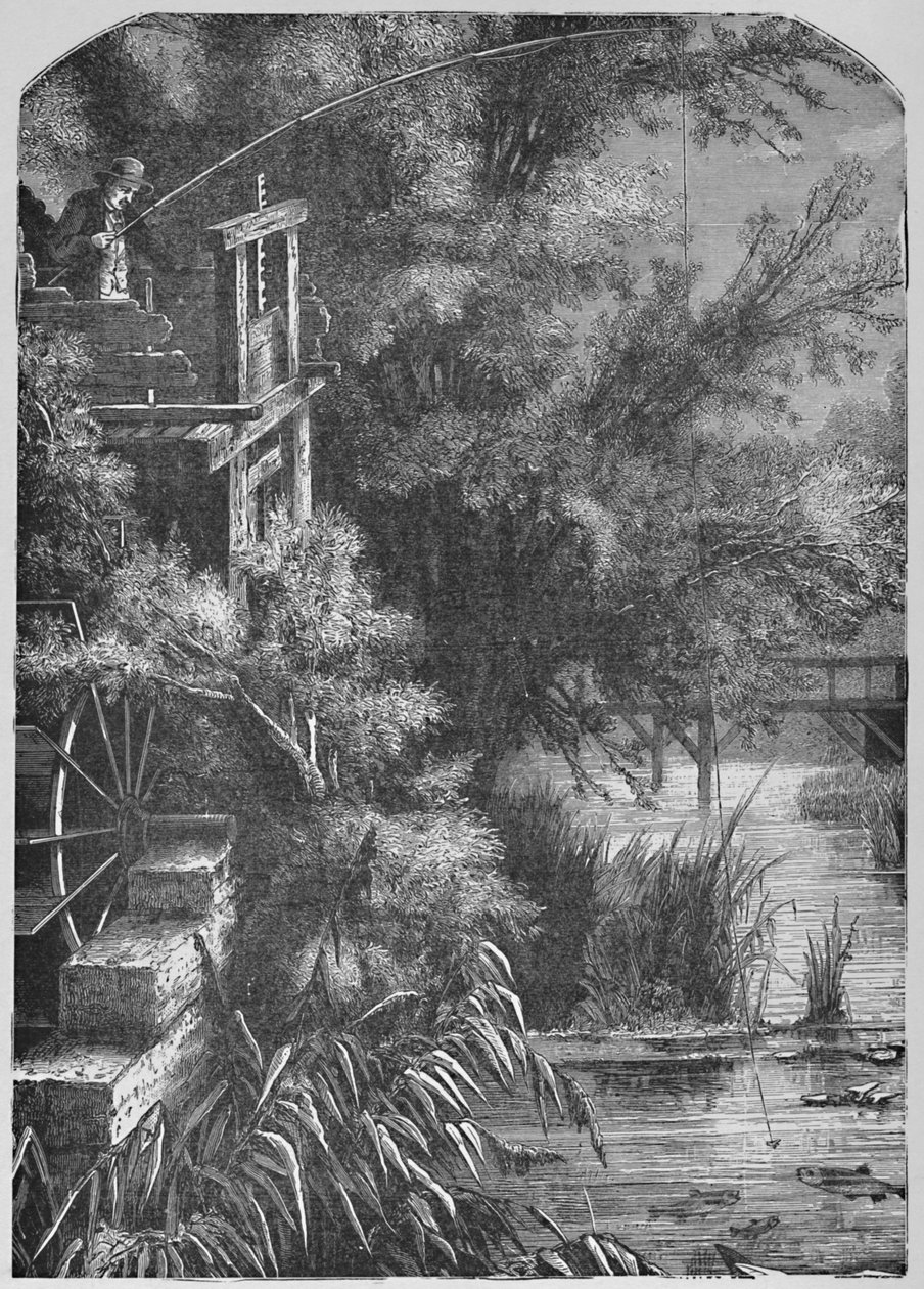 Scene på en bæk, der tømmes ind i den lille juniata, 1883 af Unbekannt