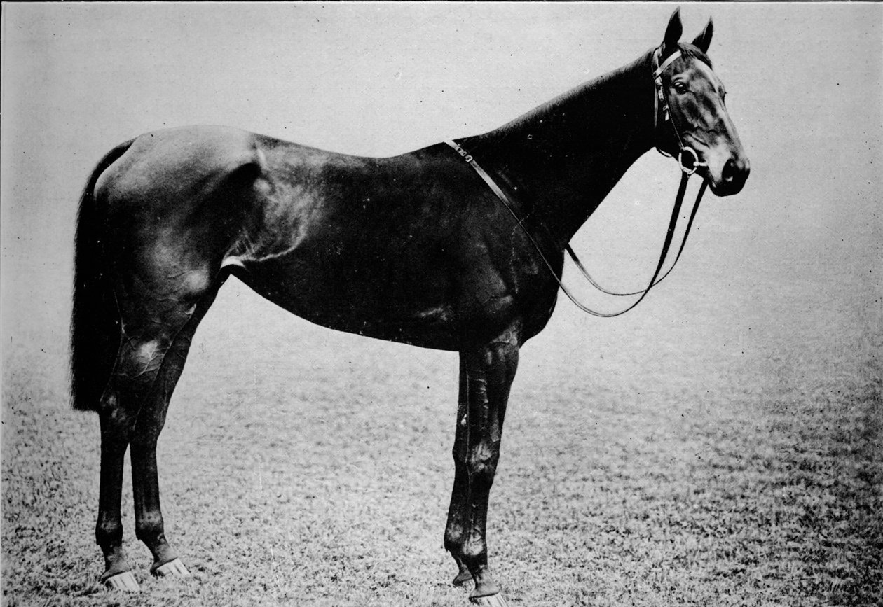 Scepter, 1899-1926, 1911 af Unbekannt