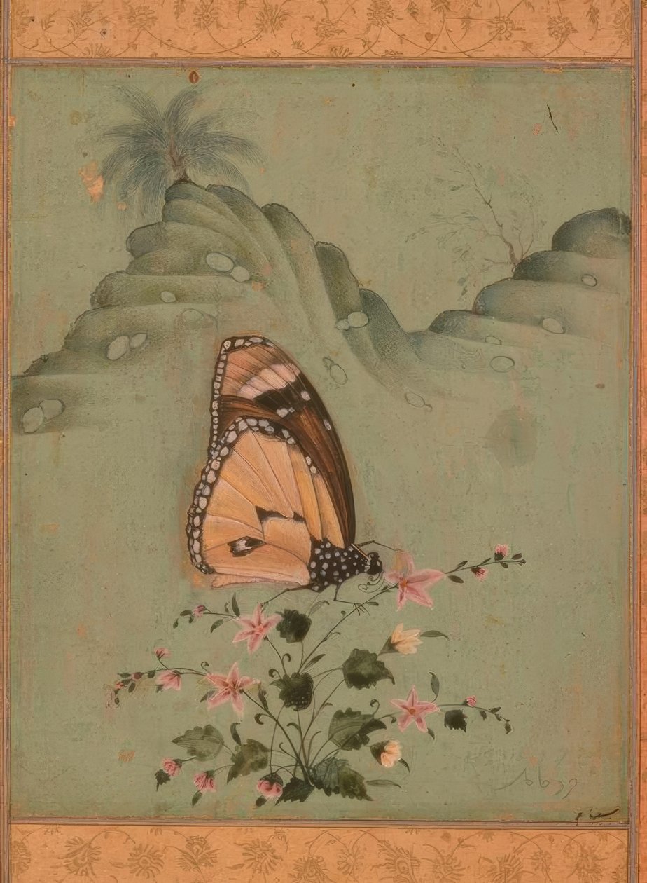 Sommerfugl / indisk. Miniature / 1600-tallet af Unbekannt