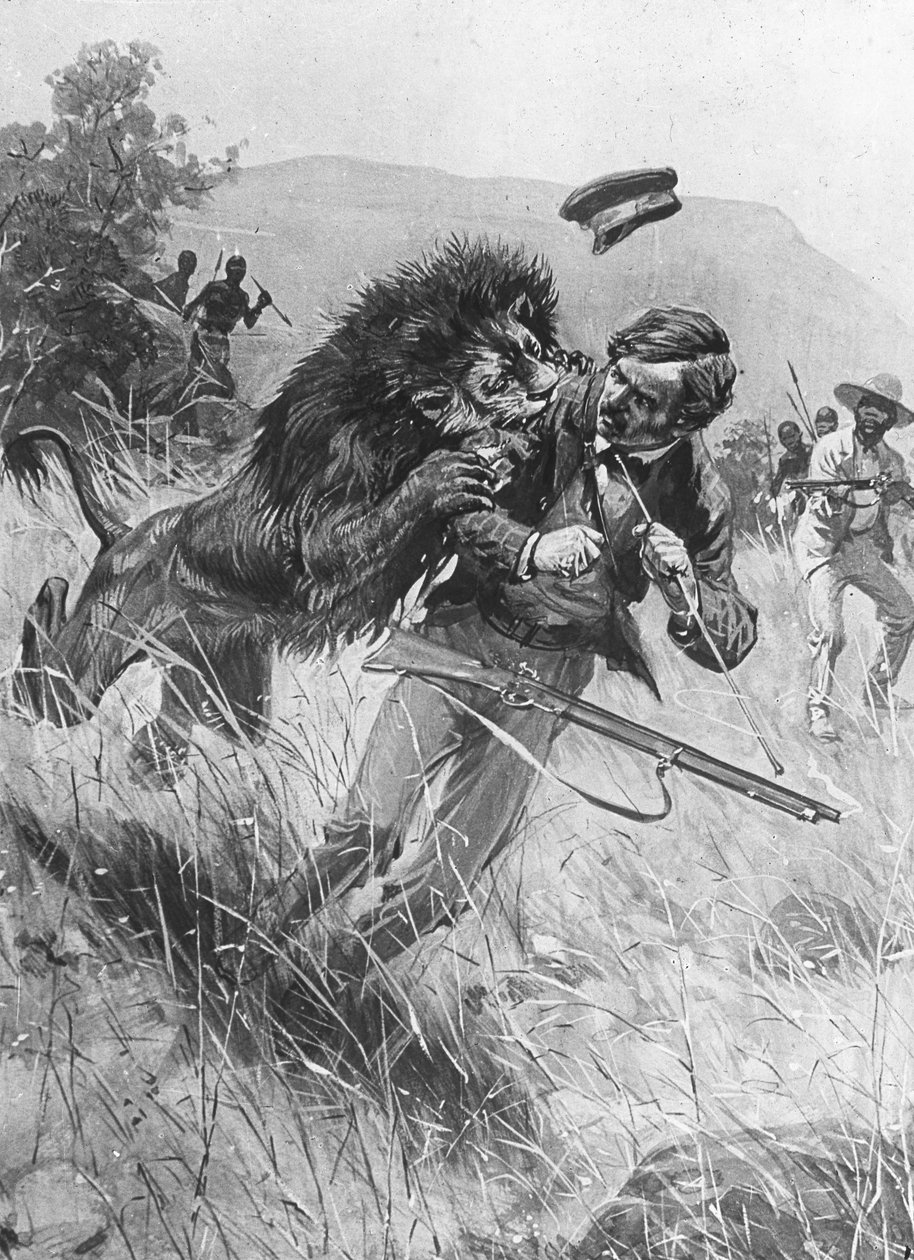 Skotsk missionær og opdagelsesrejsende David Livingstone bliver angrebet af en løve, Afrika, 1800-tallet af Unbekannt