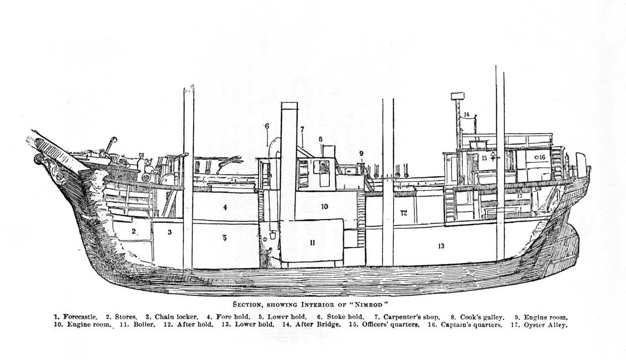 Sektion, viser interiør af Nimrod., 1909 af Unbekannt