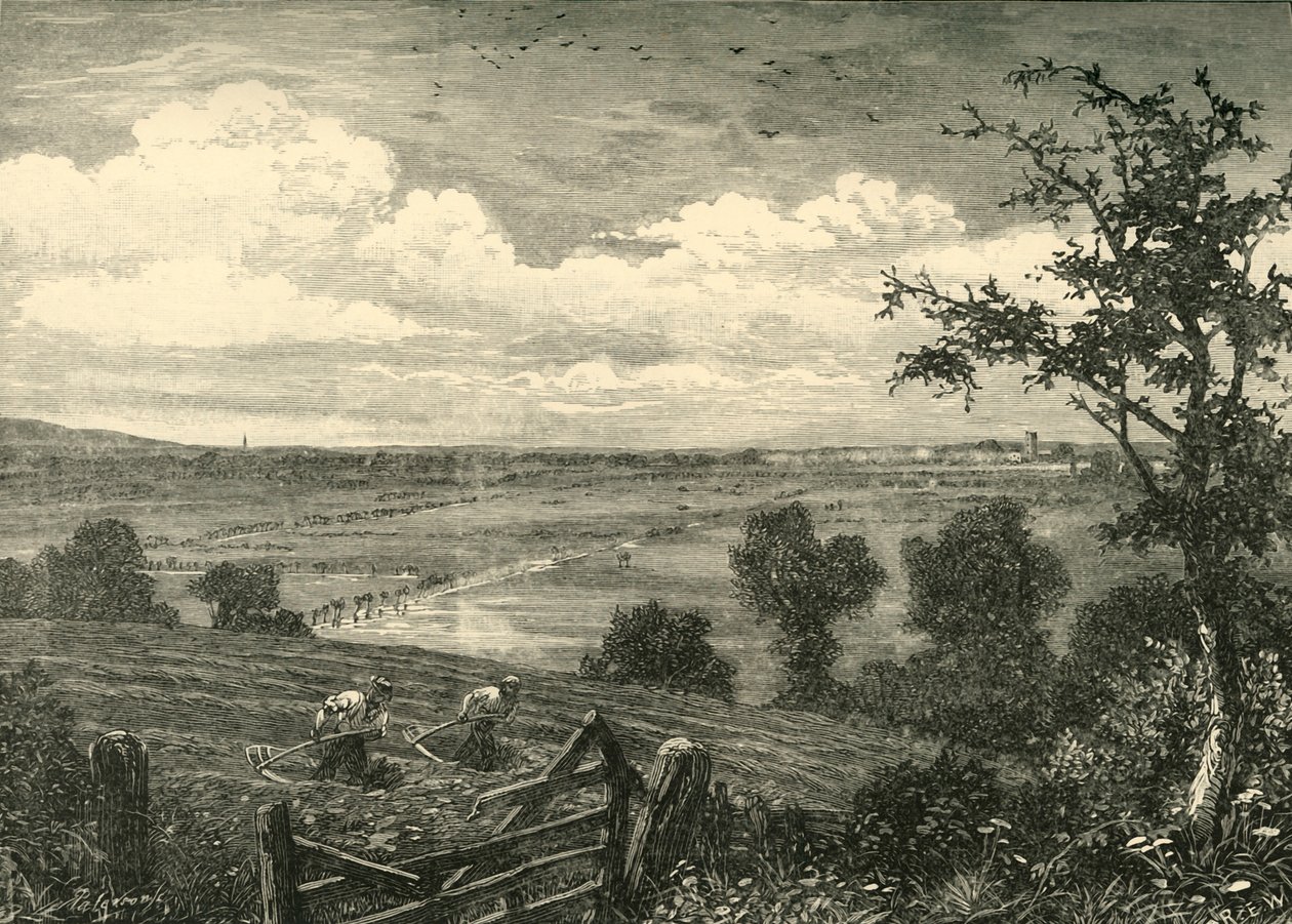 Sedgemoor, fra Middlezoy, 1898. af Unbekannt