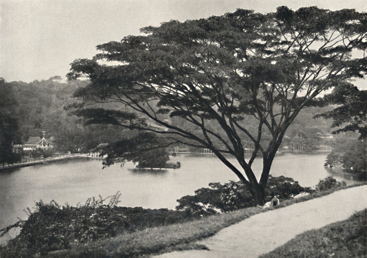 Sø, Temple of the Sacred Tooth Reed og bibliotek i Kandy, set øst fra Victoria Drive, 192 af Unbekannt