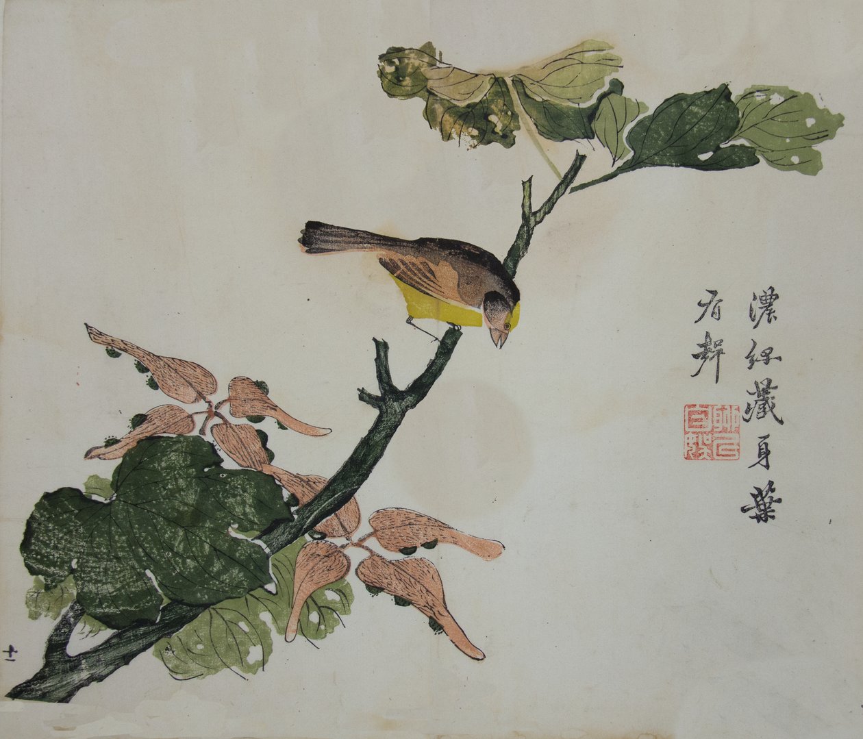 Seeds and Aleurites Cordata : Side fra The Mustard Seed Garden Manual of..., 1782, 2. udgave. af Unbekannt