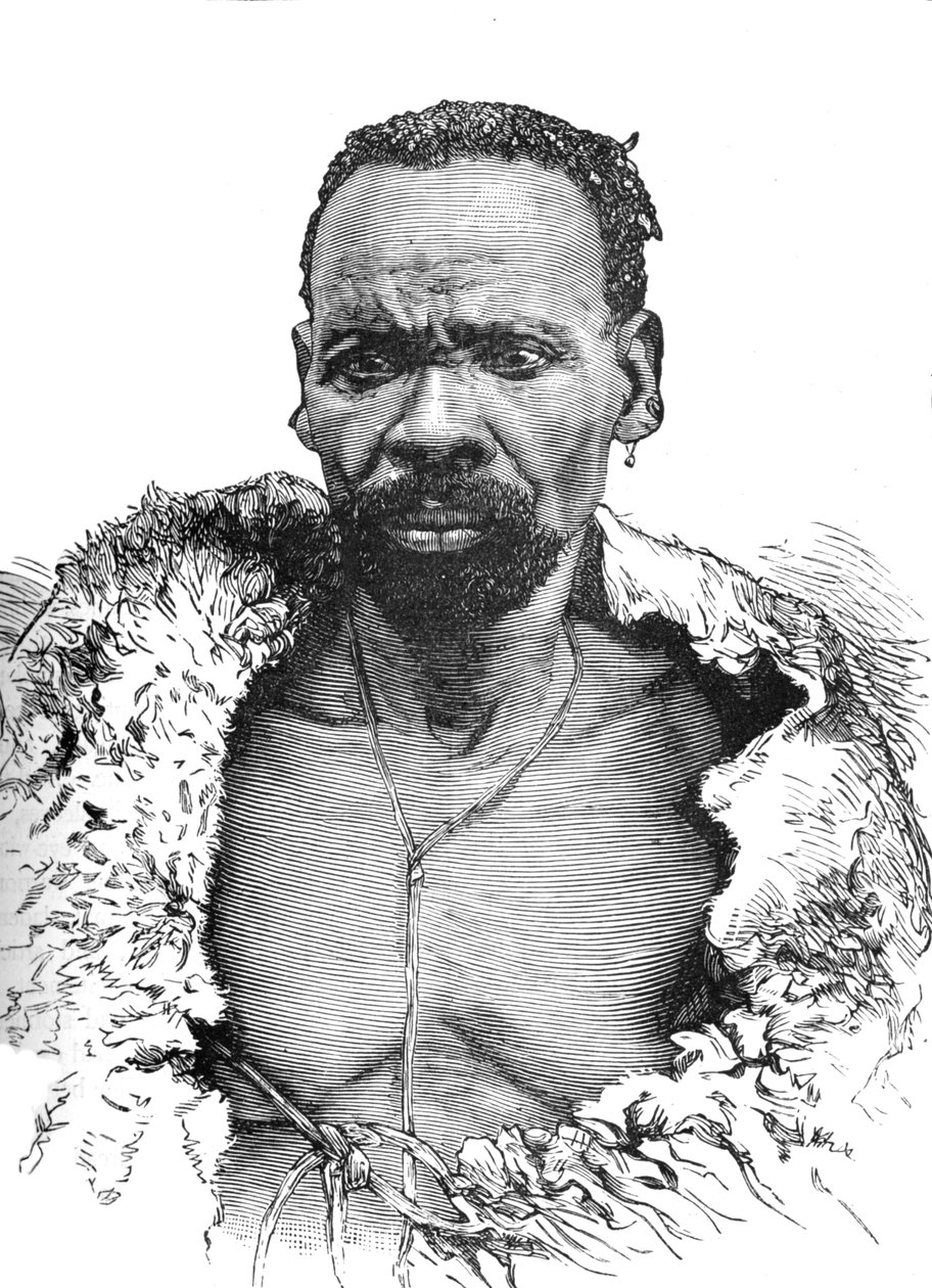 Træ, c1880 af Unbekannt