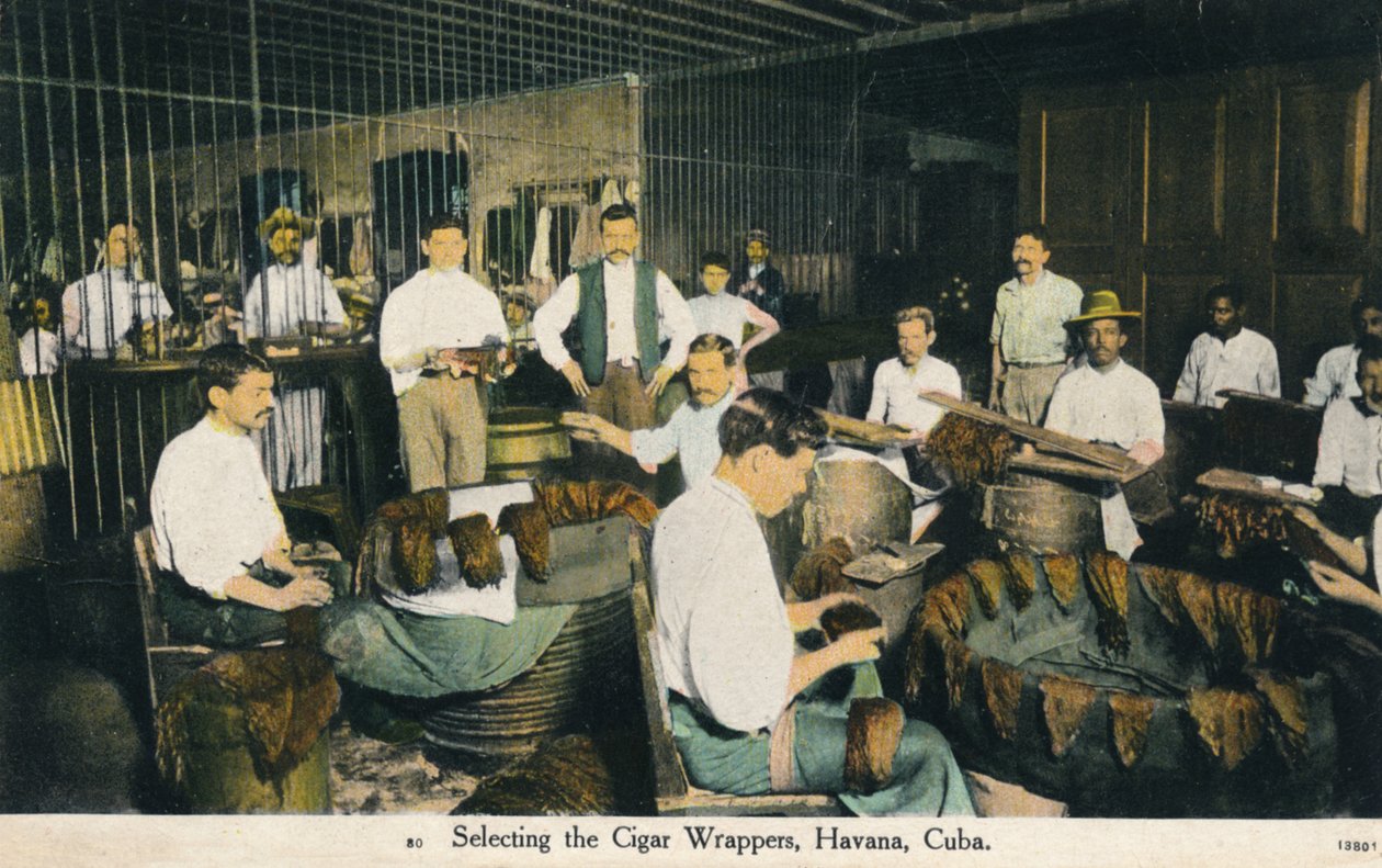 Valg af cigarindpakning, Havana, Cuba, c1910 af Unbekannt