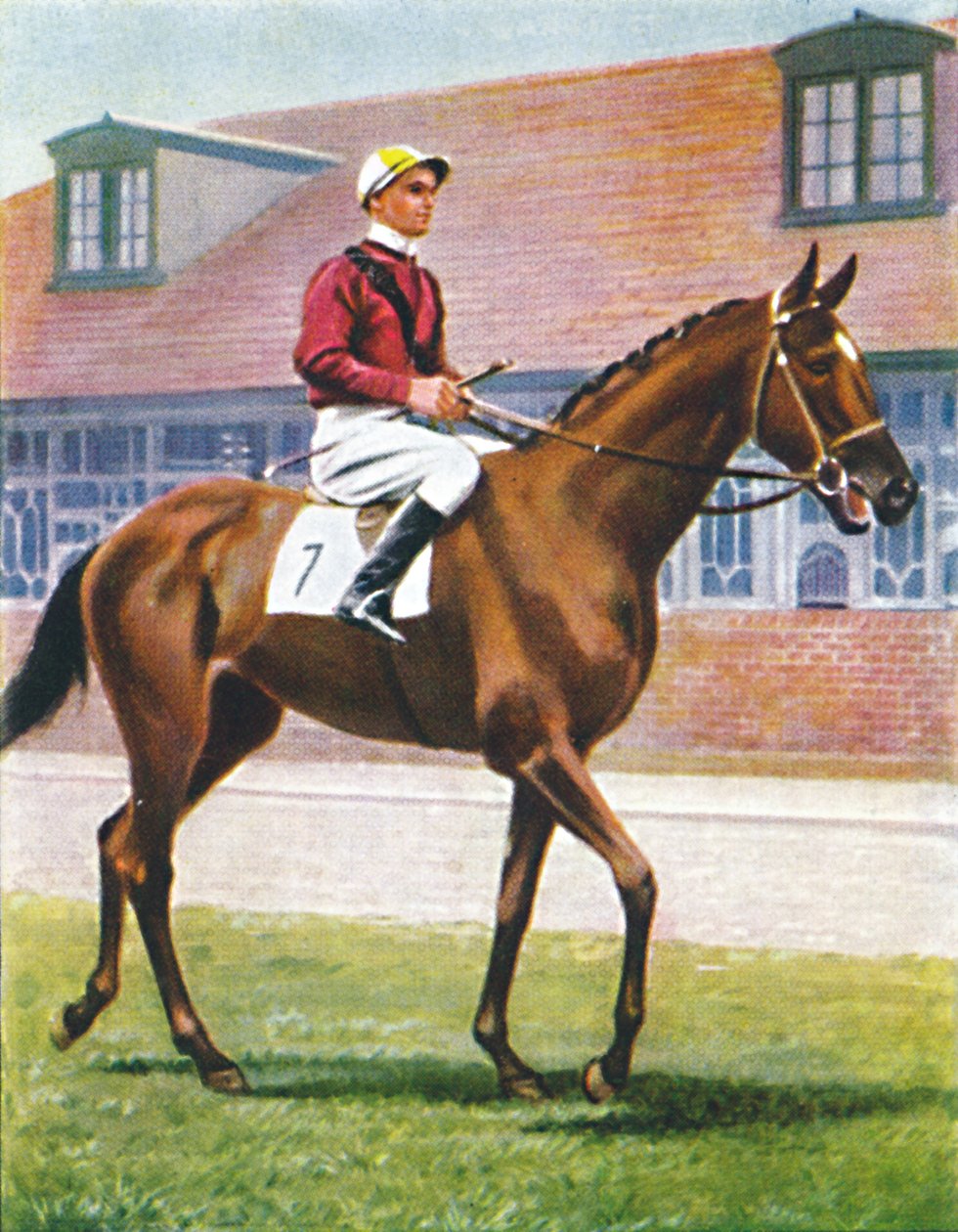 Senor, Jockey: J. Crouch, 1939 af Unbekannt