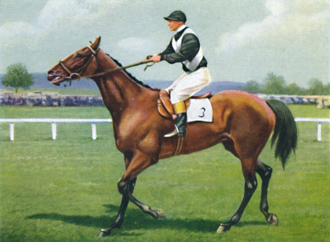 Shalfleet, Jockey: R. Perryman, 1939 af Unbekannt